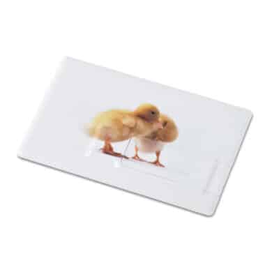 Memorama hitelkártya pendrive 16 GB és formájú USB.